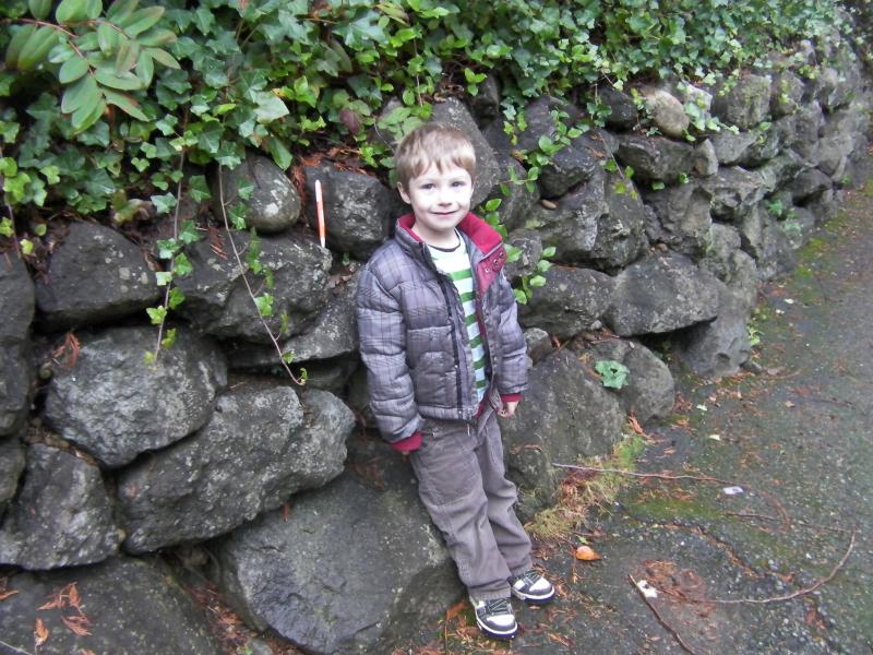 Wall built using 1/2 man and 1 man basalt rock.  Notice orang pen for size check